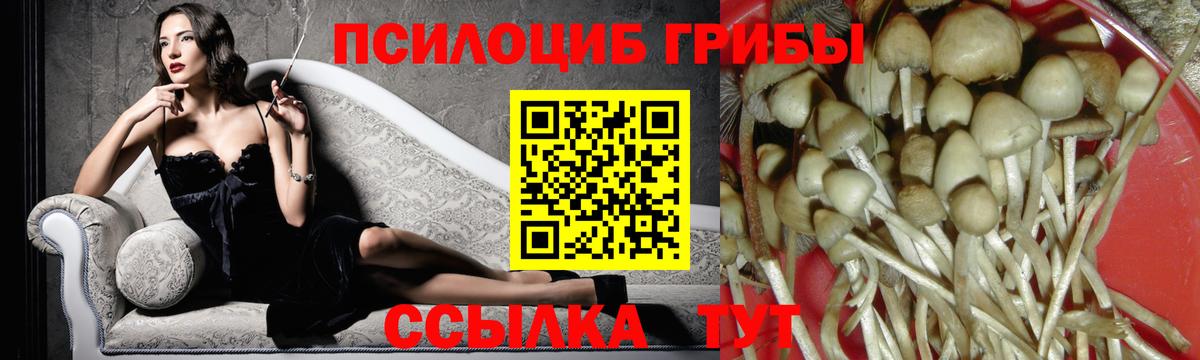 Псилоцибиновые грибы Cubensis  Вход с VPN  Благодарный 